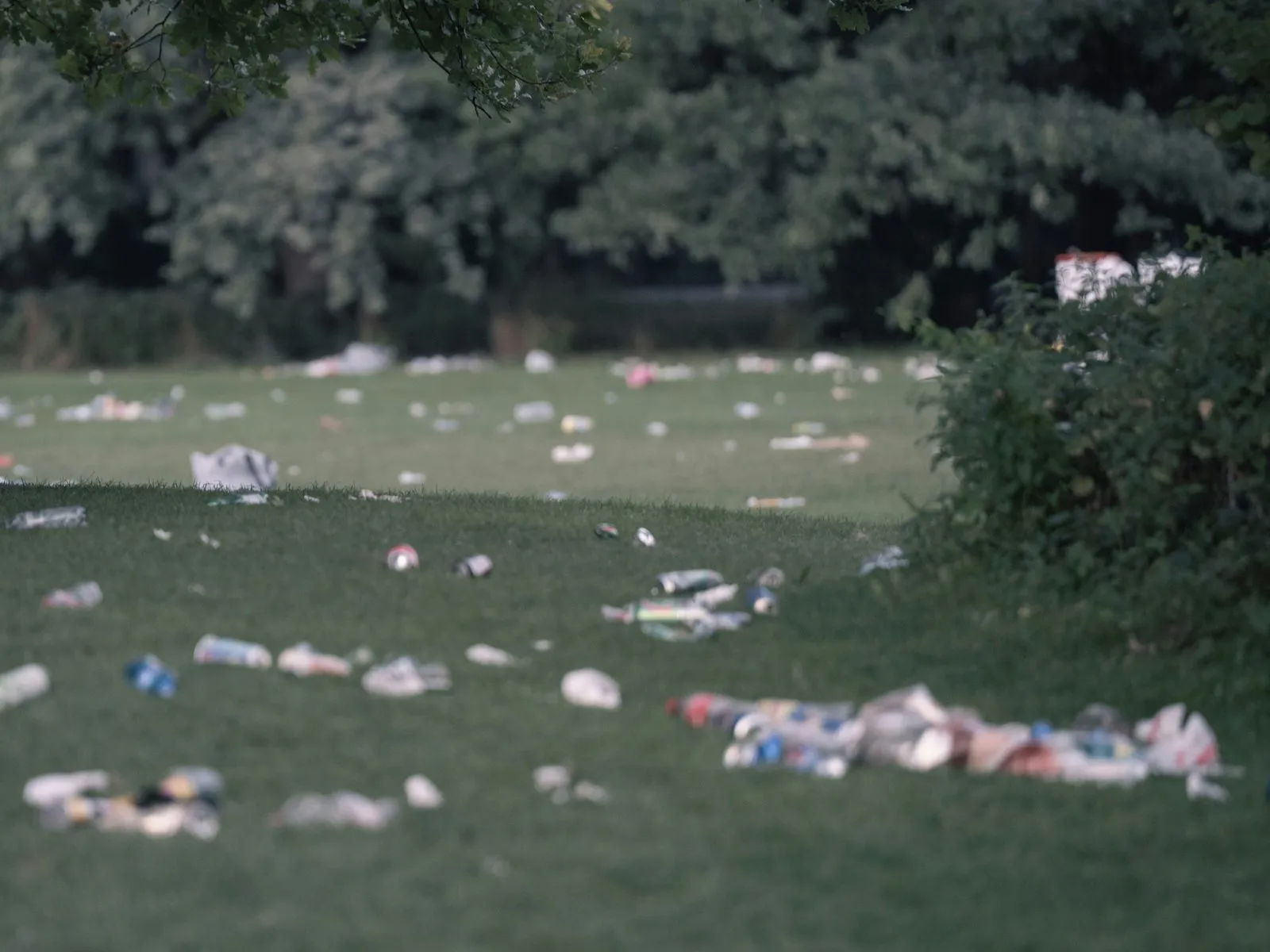 Cans, bottles and food packaging left strewn across a park lawn