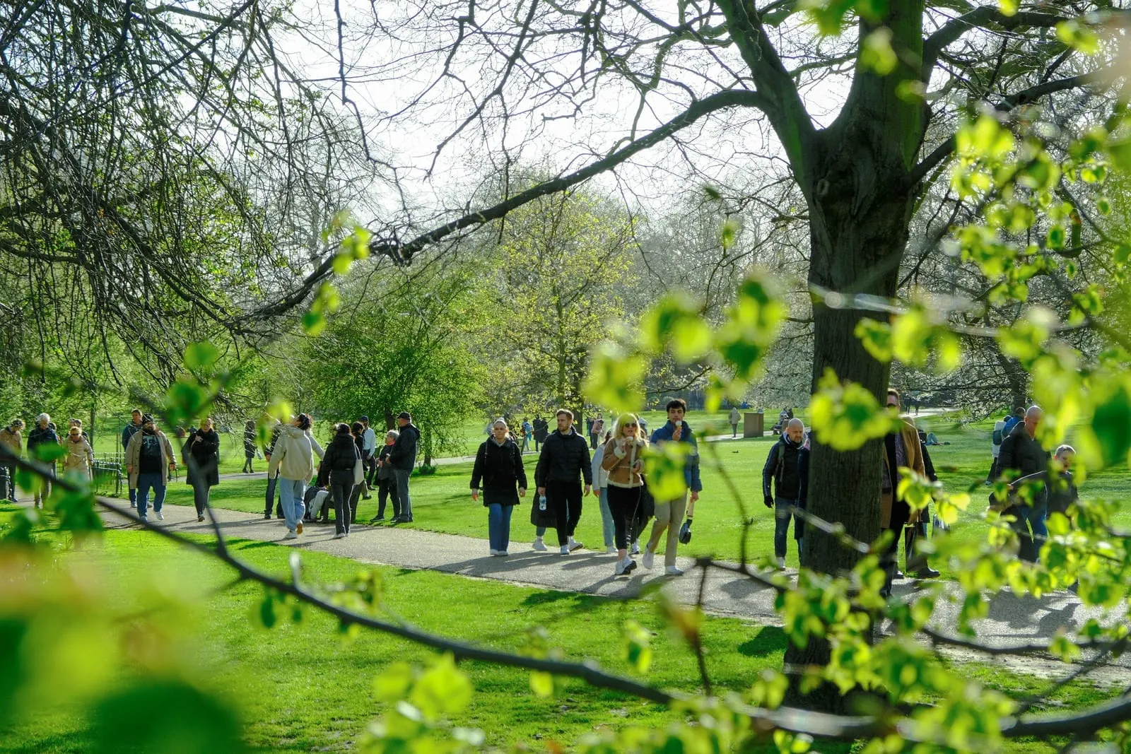 People walking along a path through a park, under trees in full leaf
